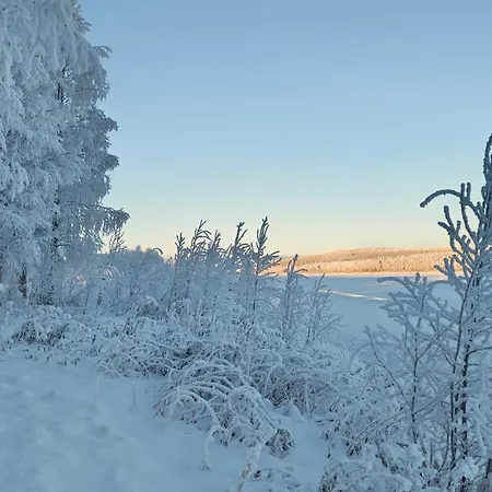 キャンプ場 On The Banks Of The Ounasjoki River